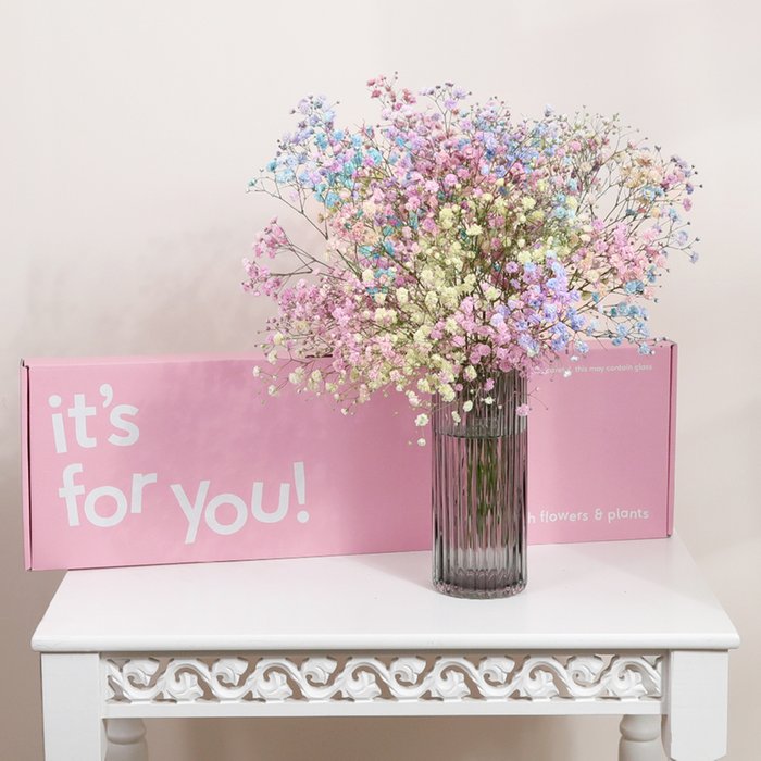 The Letterbox Candyfloss Gypsophilia