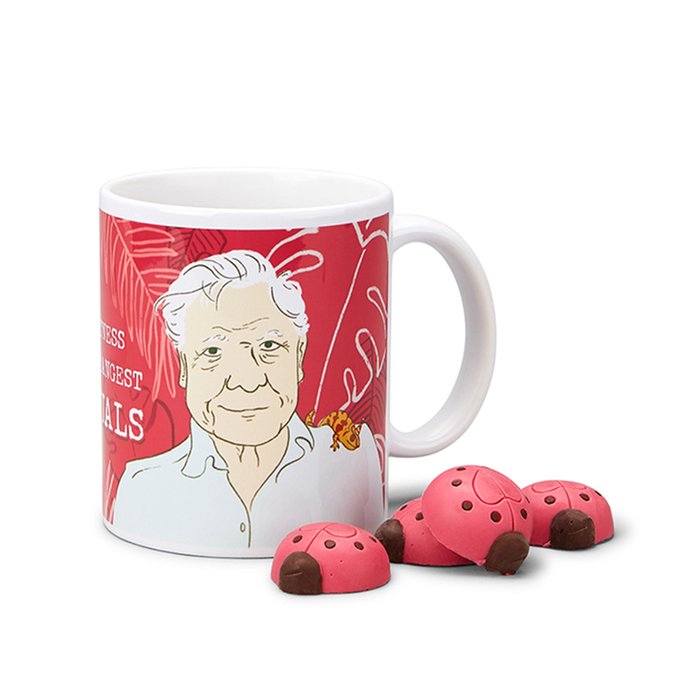 David Attenborough Mug and Chocolate Love Bugs Gift Set