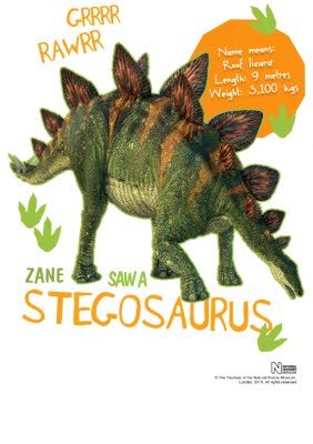 Stegosaurus Dinosaur Custom Print T-Shirt