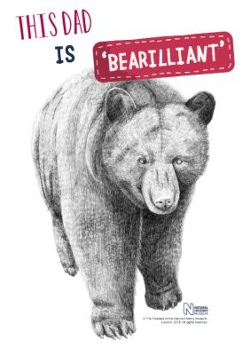 Bearilliant Father's Day T-Shirt