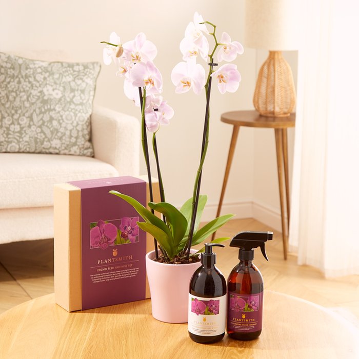 The Orchid Plant Care Gift Set