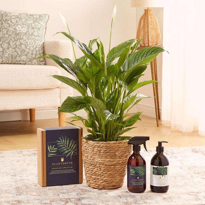 The Peace Lily House Plant Care Gift Set