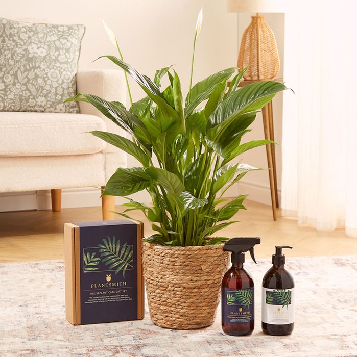 The Peace Lily House Plant Care Gift Set Moonpig