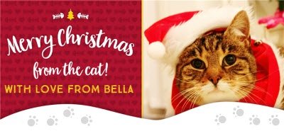 Merry Christmas From Cat Photo Upload Mug