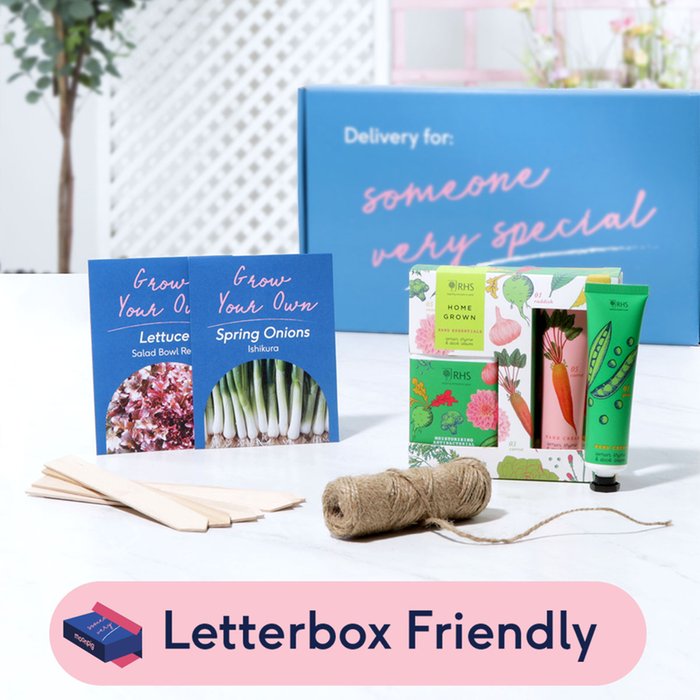Letterbox Complete Salad Grower's Gift Set