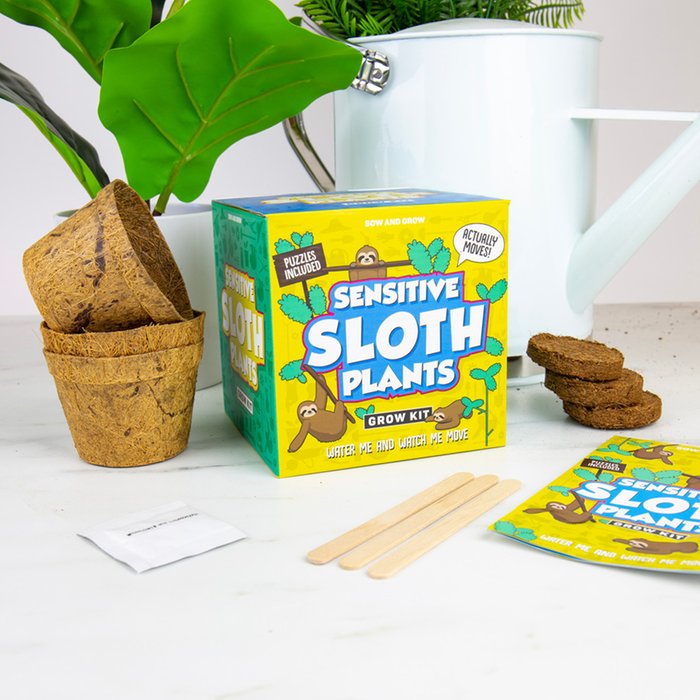 Sensitive Sloths Grow Your Own Plant Kit