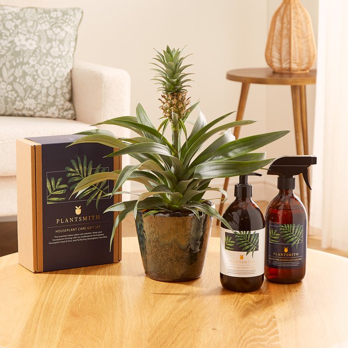 The Pineapple Plant Care Gift Set