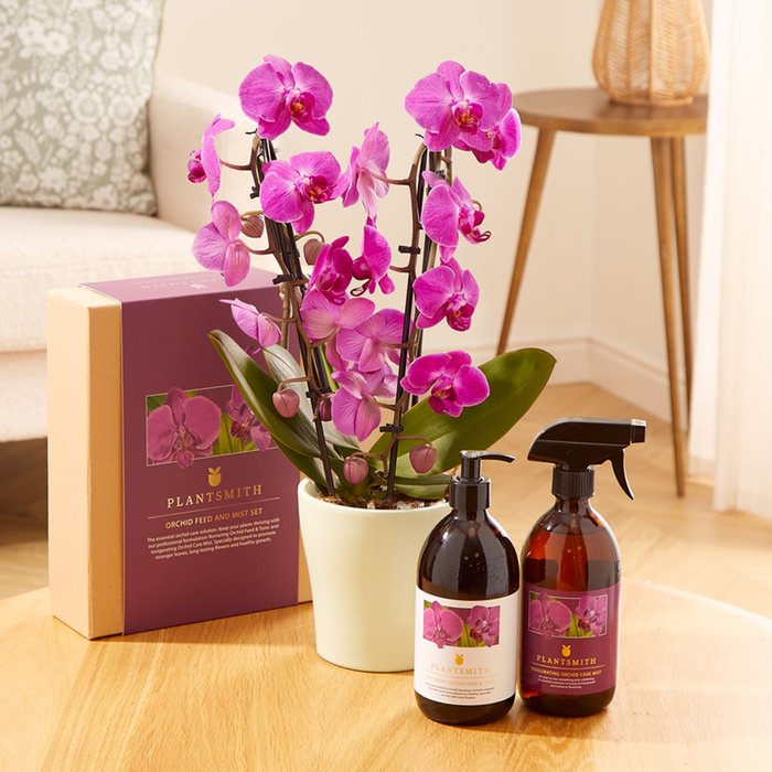 The Pink Cascade Orchid Plant Care Gift Set
