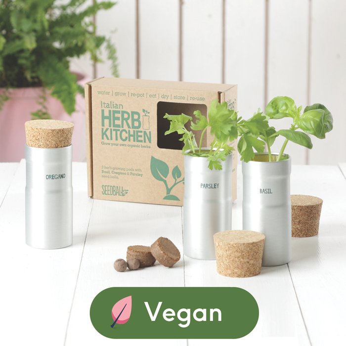 Grow Your Own Italian Herb Collection