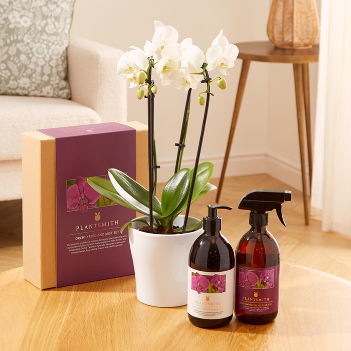 The White Cascade Orchid Plant Care Gift Set