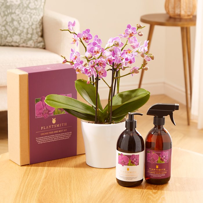 The Wild Pink Orchid Plant Care Gift Set