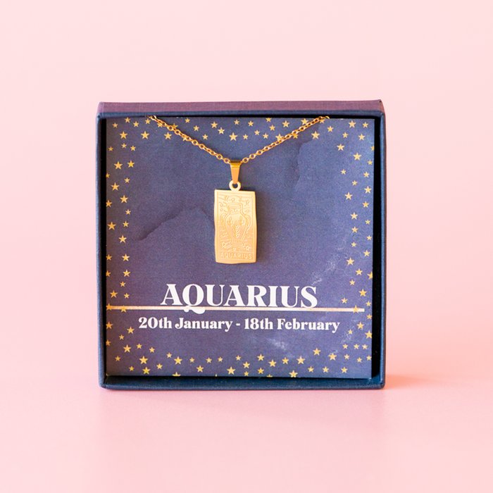 Aquarius Zodiac Necklace Moonpig